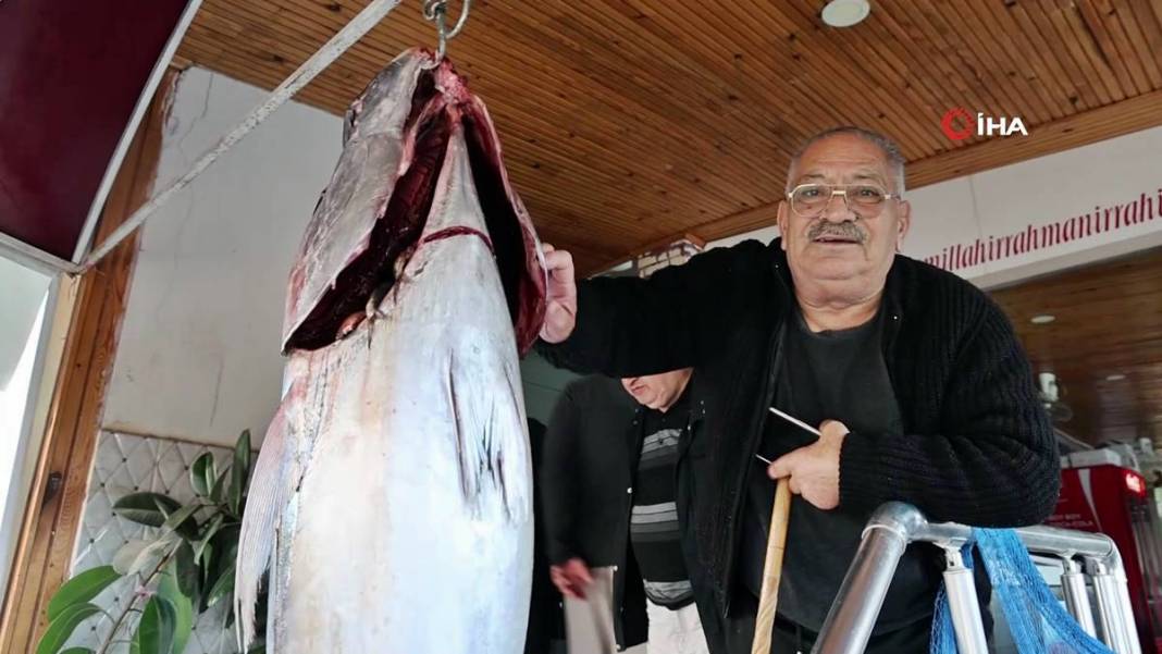 İnsan boyunda dev balık, görenlere küçük dilini yutturdu! O kentte sergileniyor 15